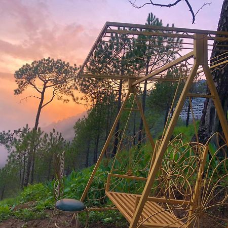 The Westberry 50Mtrs Offroading And 50 Mtrs Nature Path Bed & Breakfast Shimla Ngoại thất bức ảnh