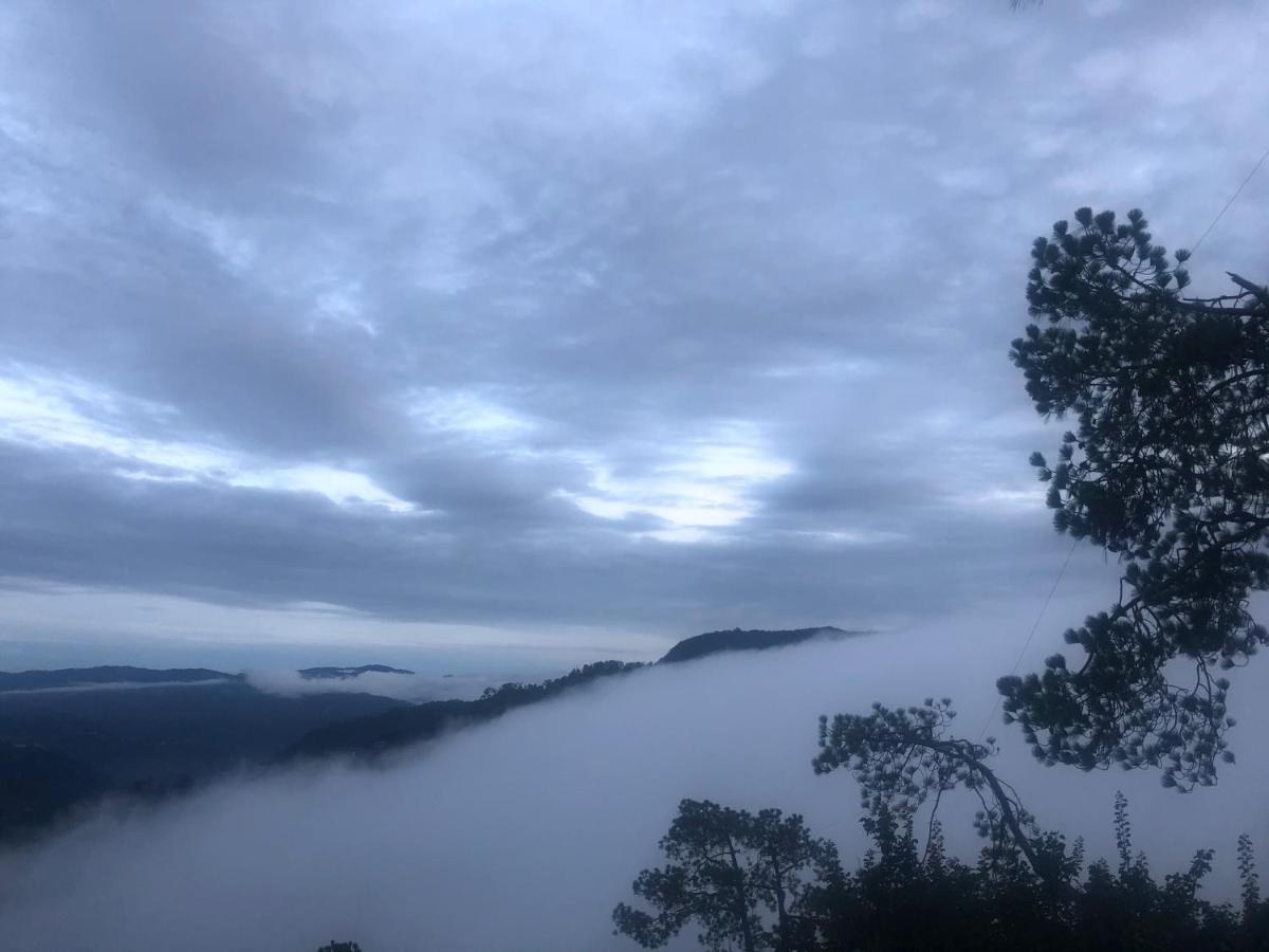 The Westberry 50Mtrs Offroading And 50 Mtrs Nature Path Bed & Breakfast Shimla Ngoại thất bức ảnh