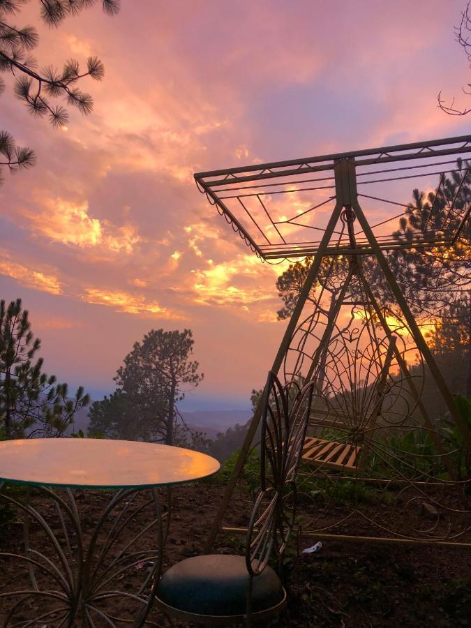The Westberry 50Mtrs Offroading And 50 Mtrs Nature Path Bed & Breakfast Shimla Ngoại thất bức ảnh