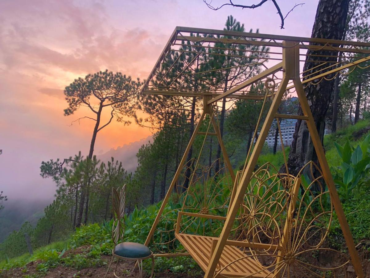 The Westberry 50Mtrs Offroading And 50 Mtrs Nature Path Bed & Breakfast Shimla Ngoại thất bức ảnh
